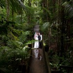 Scott & Alisha - Paronella Park-1