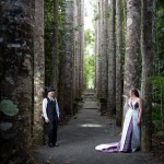 Scott & Alisha - Paronella Park-3
